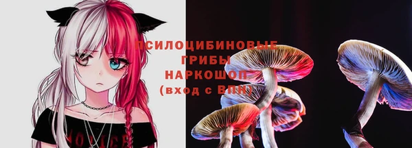 spice Алексин