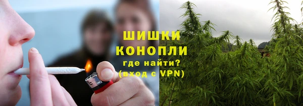 spice Алексин