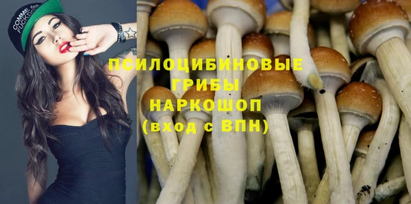 мяу мяу мука Алексеевка